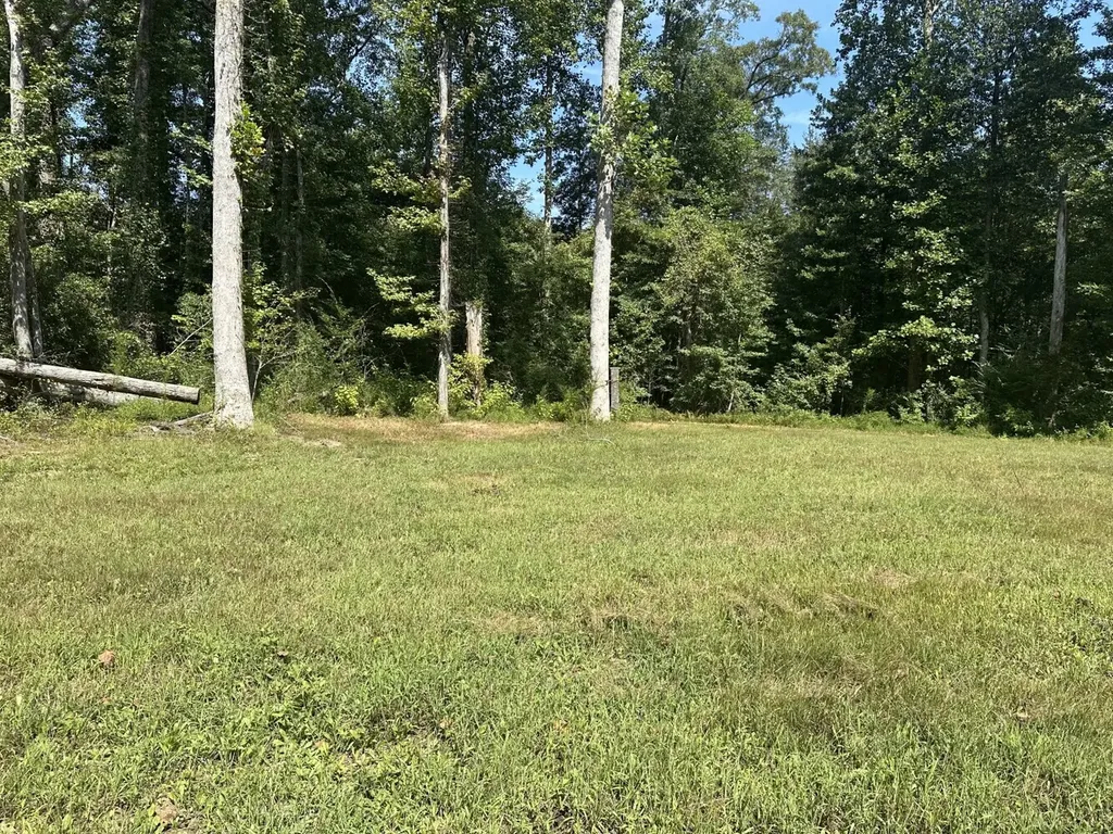221 Blue Bird Road Sulligent AL 35586