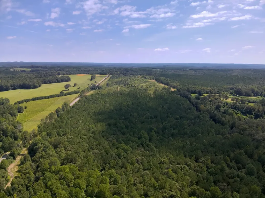221 Blue Bird Road Sulligent AL 35586