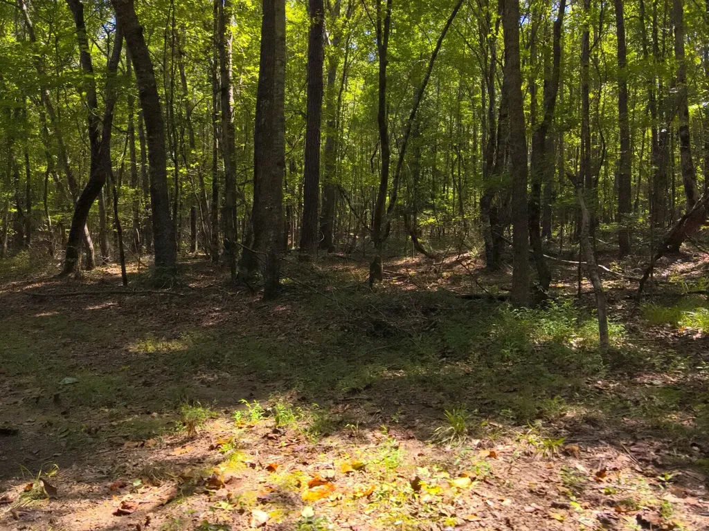 221 Blue Bird Road Sulligent AL 35586