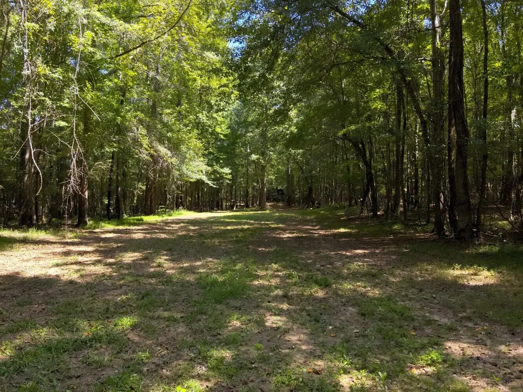 221 Blue Bird Road Sulligent AL 35586