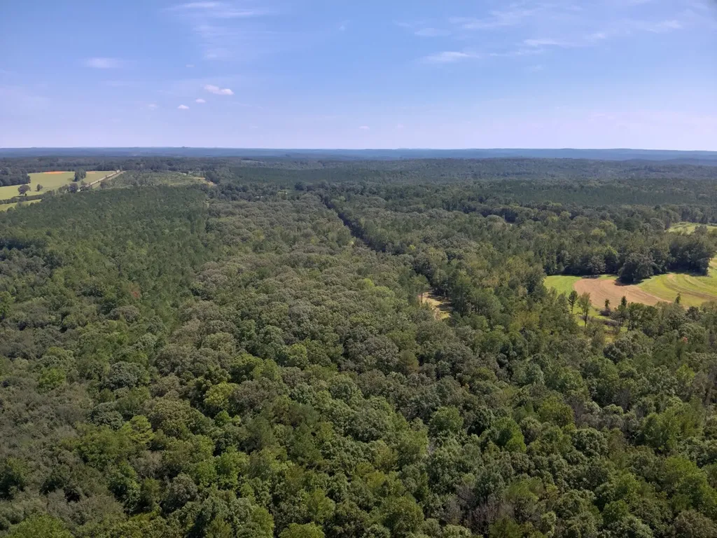 221 Blue Bird Road Sulligent AL 35586