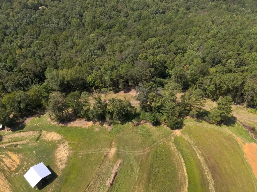 221 Blue Bird Road Sulligent AL 35586
