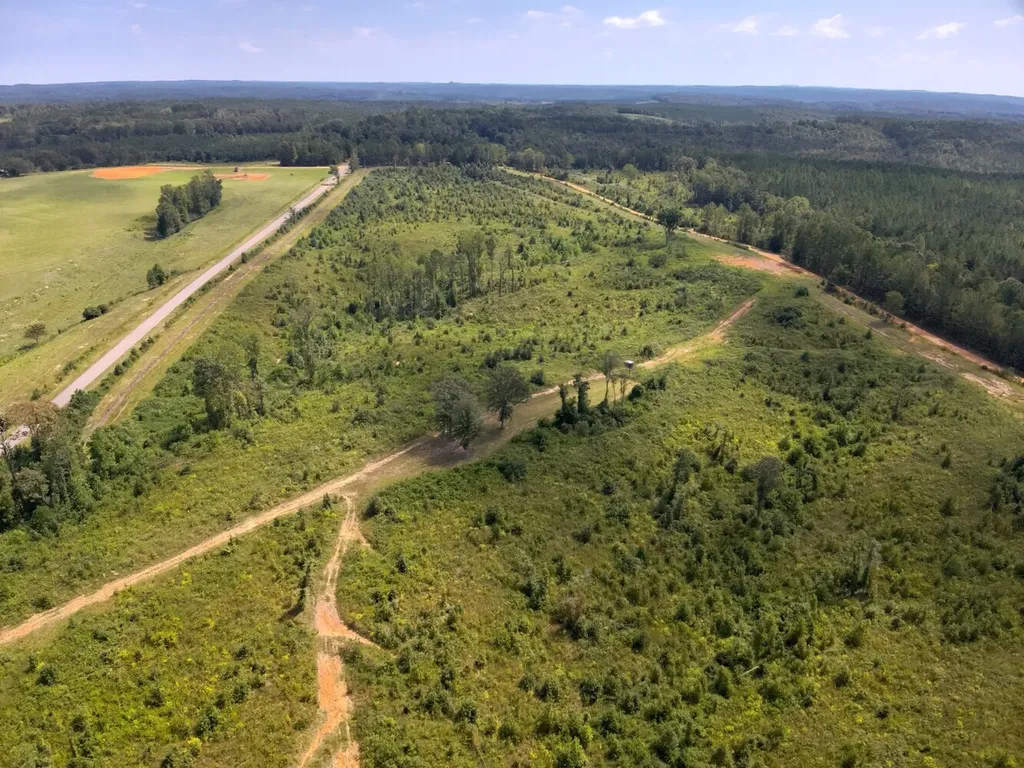 221 Blue Bird Road Sulligent AL 35586