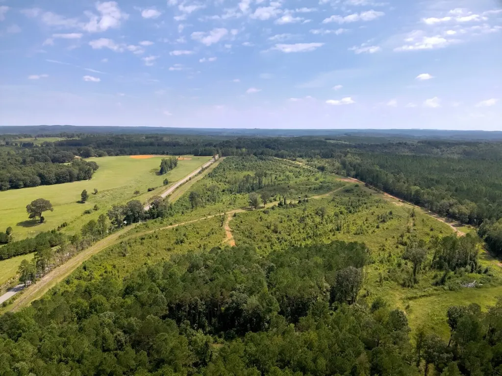221 Blue Bird Road Sulligent AL 35586