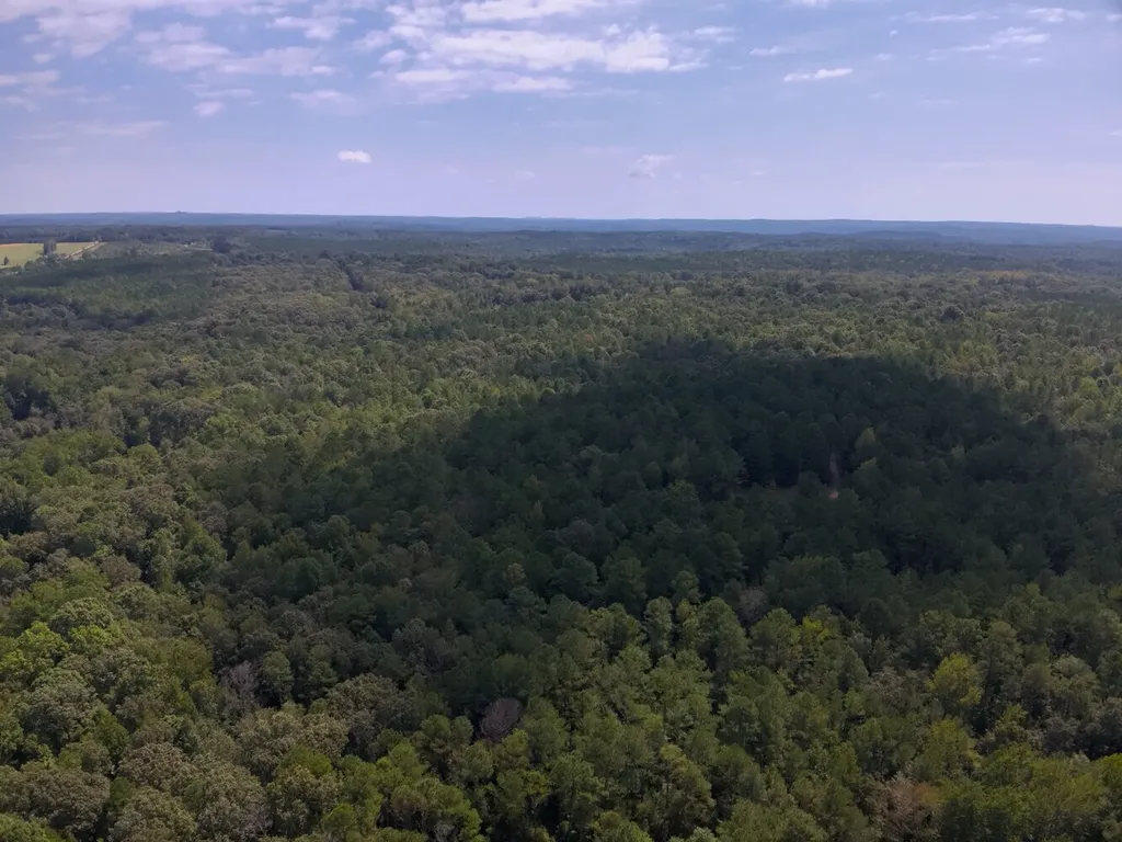 221 Blue Bird Road Sulligent AL 35586