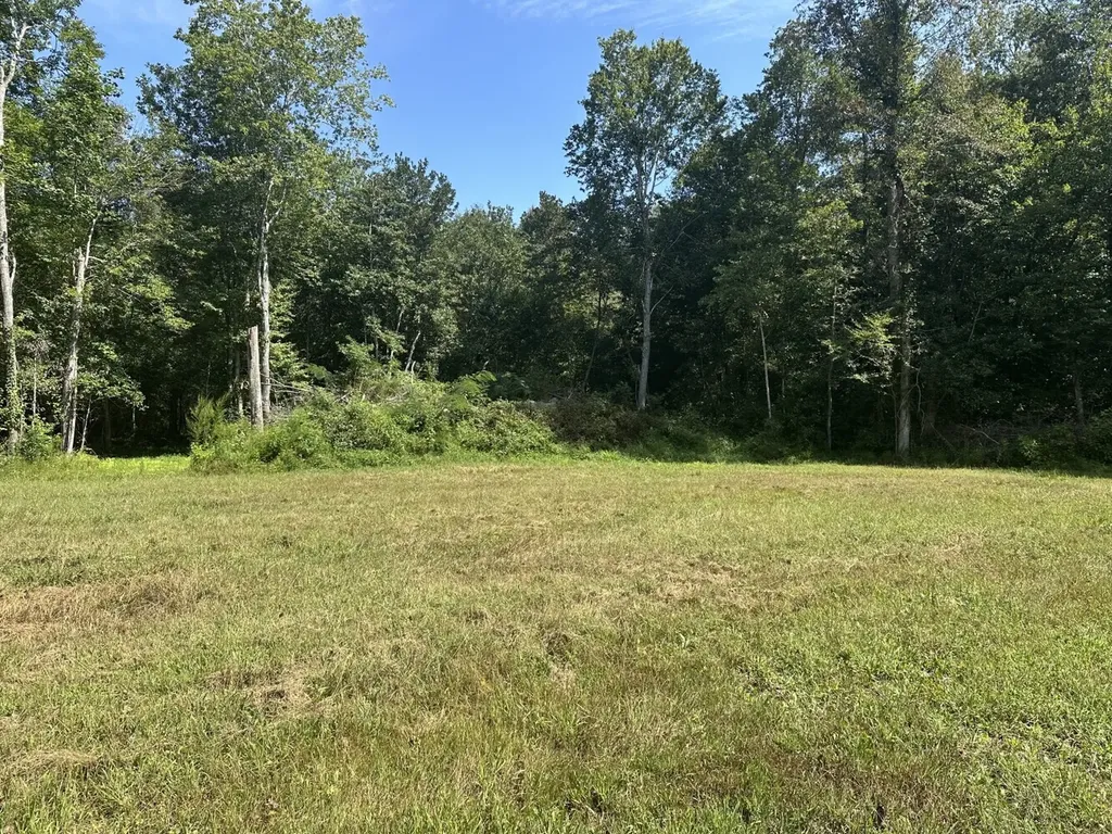 221 Blue Bird Road Sulligent AL 35586