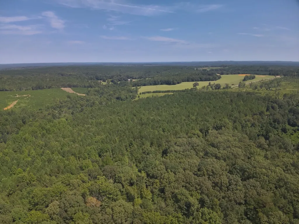 221 Blue Bird Road Sulligent AL 35586