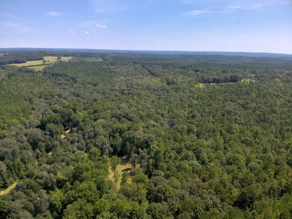 221 Blue Bird Road Sulligent AL 35586