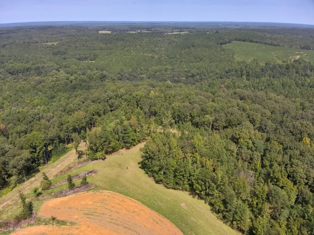 221 Blue Bird Road Sulligent AL 35586