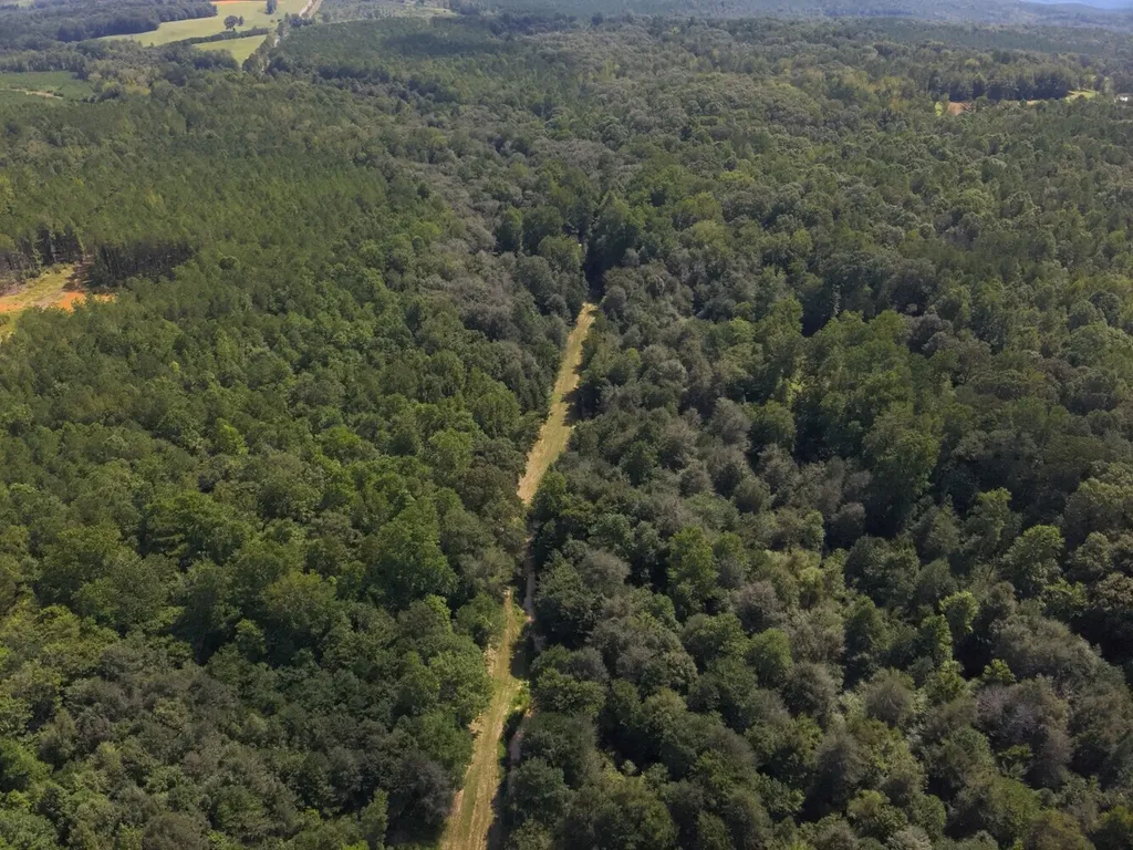 221 Blue Bird Road Sulligent AL 35586
