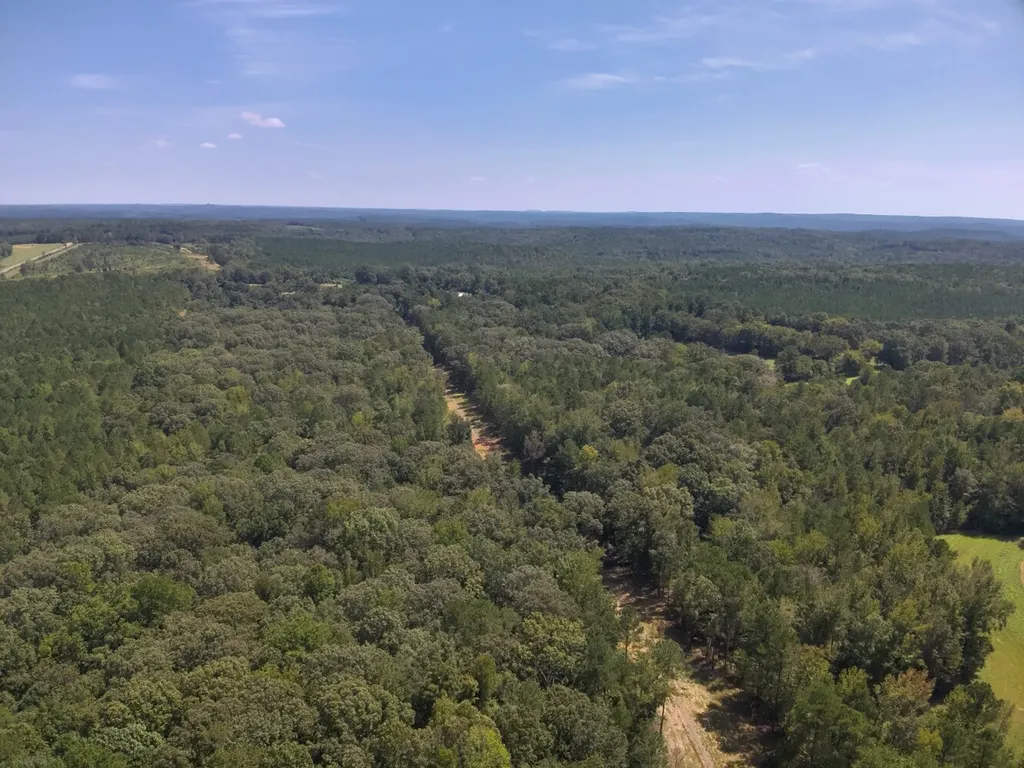 221 Blue Bird Road Sulligent AL 35586