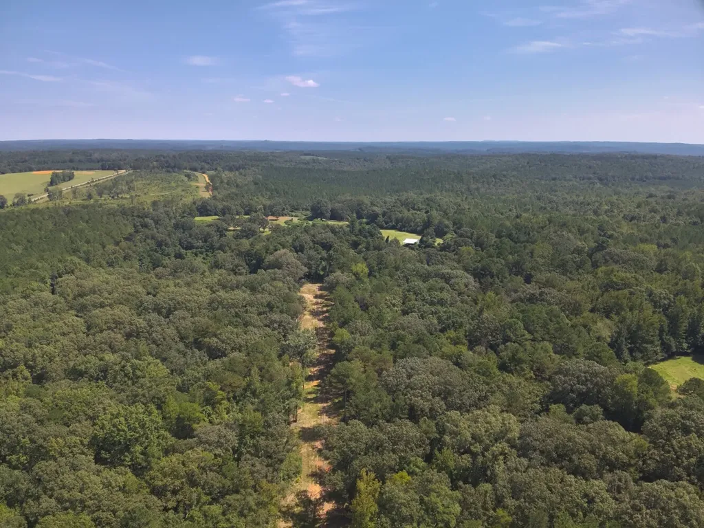 221 Blue Bird Road Sulligent AL 35586