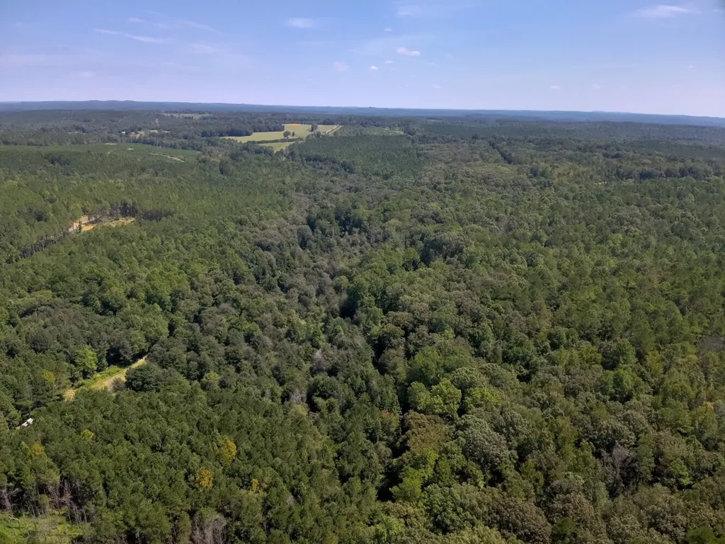 221 Blue Bird Road Sulligent AL 35586