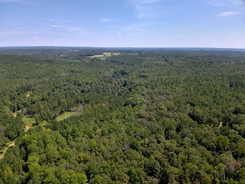 221 Blue Bird Road Sulligent AL 35586