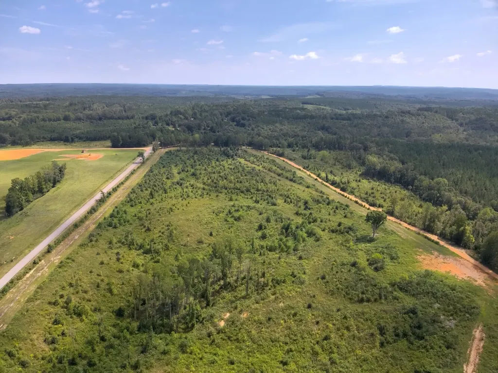 221 Blue Bird Road Sulligent AL 35586