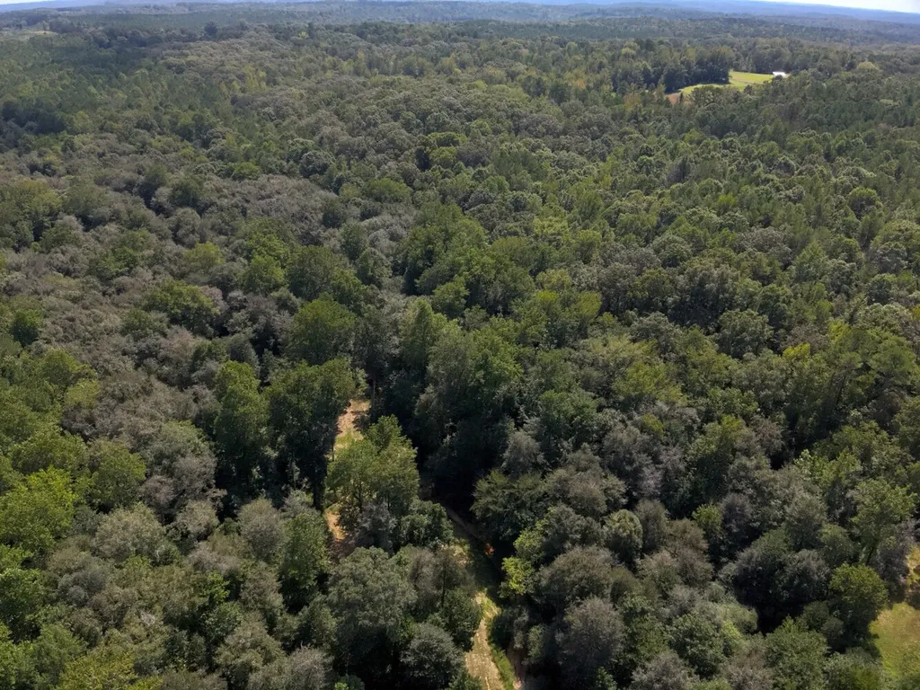221 Blue Bird Road Sulligent AL 35586