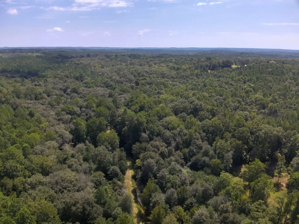 221 Blue Bird Road Sulligent AL 35586