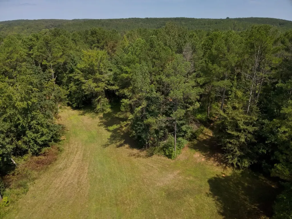 221 Blue Bird Road Sulligent AL 35586