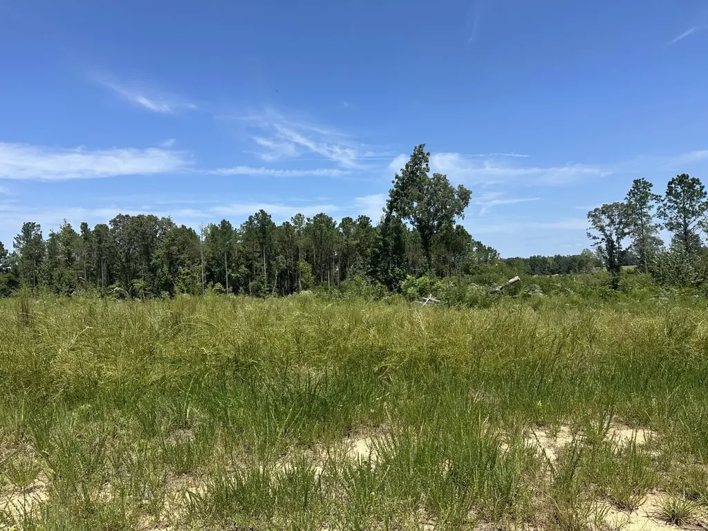 221 Blue Bird Road Sulligent AL 35586