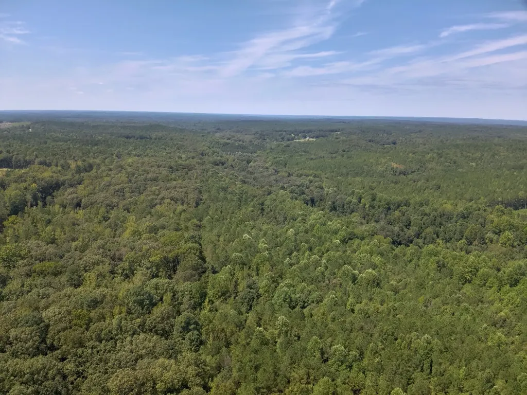 221 Blue Bird Road Sulligent AL 35586