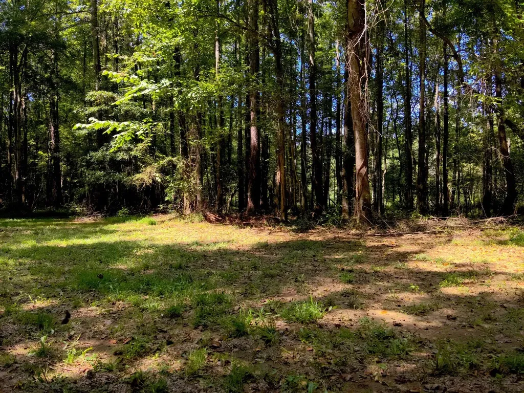 221 Blue Bird Road Sulligent AL 35586