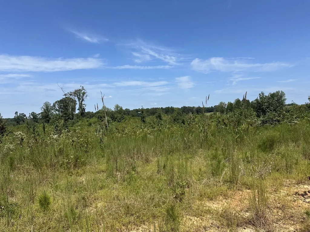 221 Blue Bird Road Sulligent AL 35586