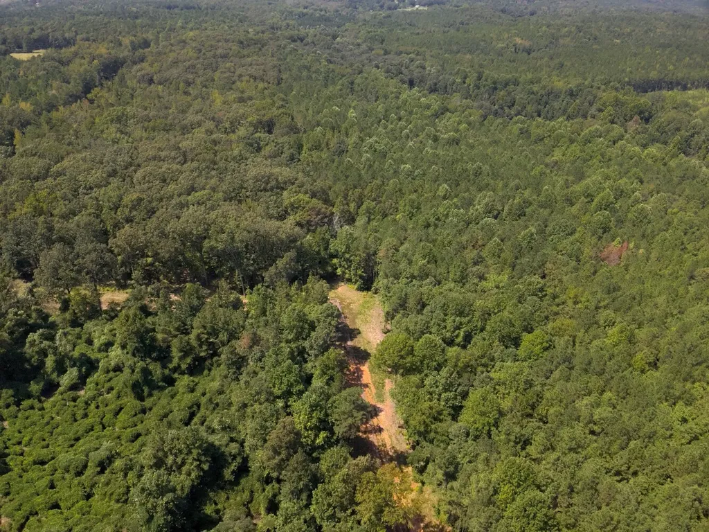 221 Blue Bird Road Sulligent AL 35586