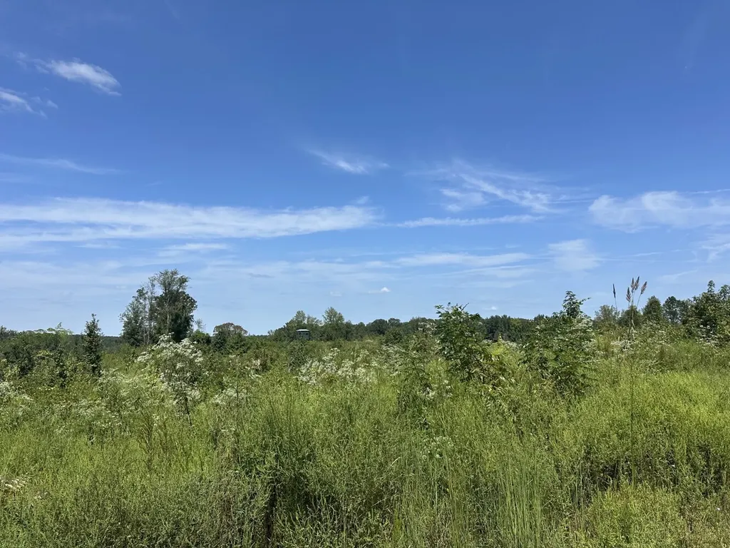 221 Blue Bird Road Sulligent AL 35586