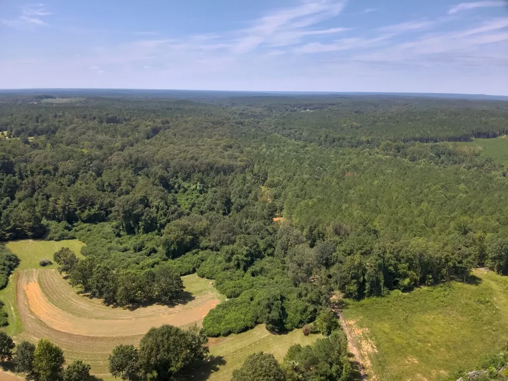 221 Blue Bird Road Sulligent AL 35586