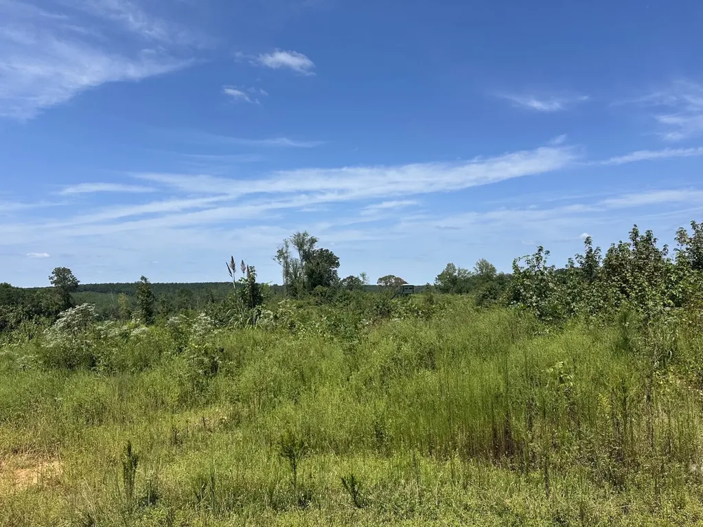 221 Blue Bird Road Sulligent AL 35586
