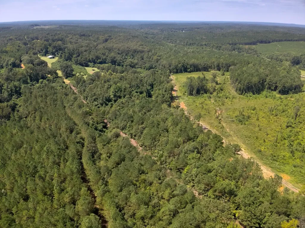 221 Blue Bird Road Sulligent AL 35586