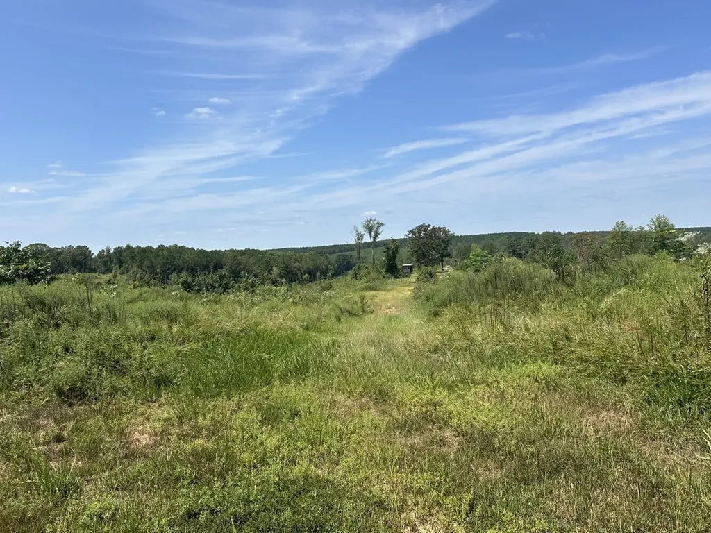 221 Blue Bird Road Sulligent AL 35586