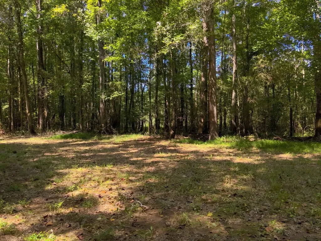 221 Blue Bird Road Sulligent AL 35586