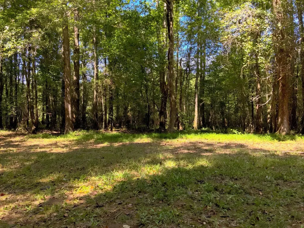 221 Blue Bird Road Sulligent AL 35586