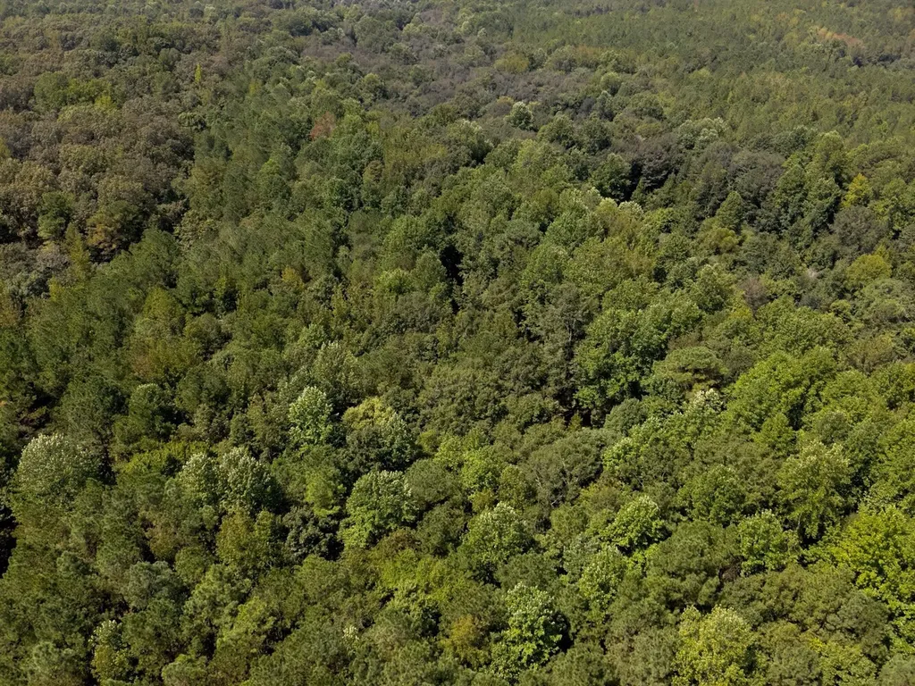 221 Blue Bird Road Sulligent AL 35586
