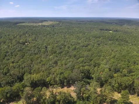221 Blue Bird Road Sulligent AL 35586