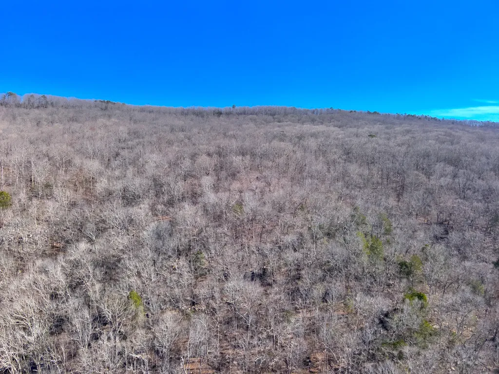 0 Shooting Star Trail Gurley AL 35748