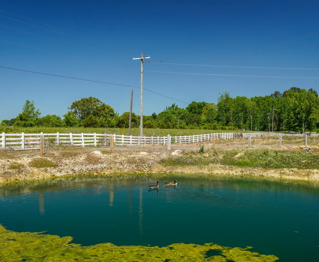 29200 Upper Elkton Road Elkmont AL 35620