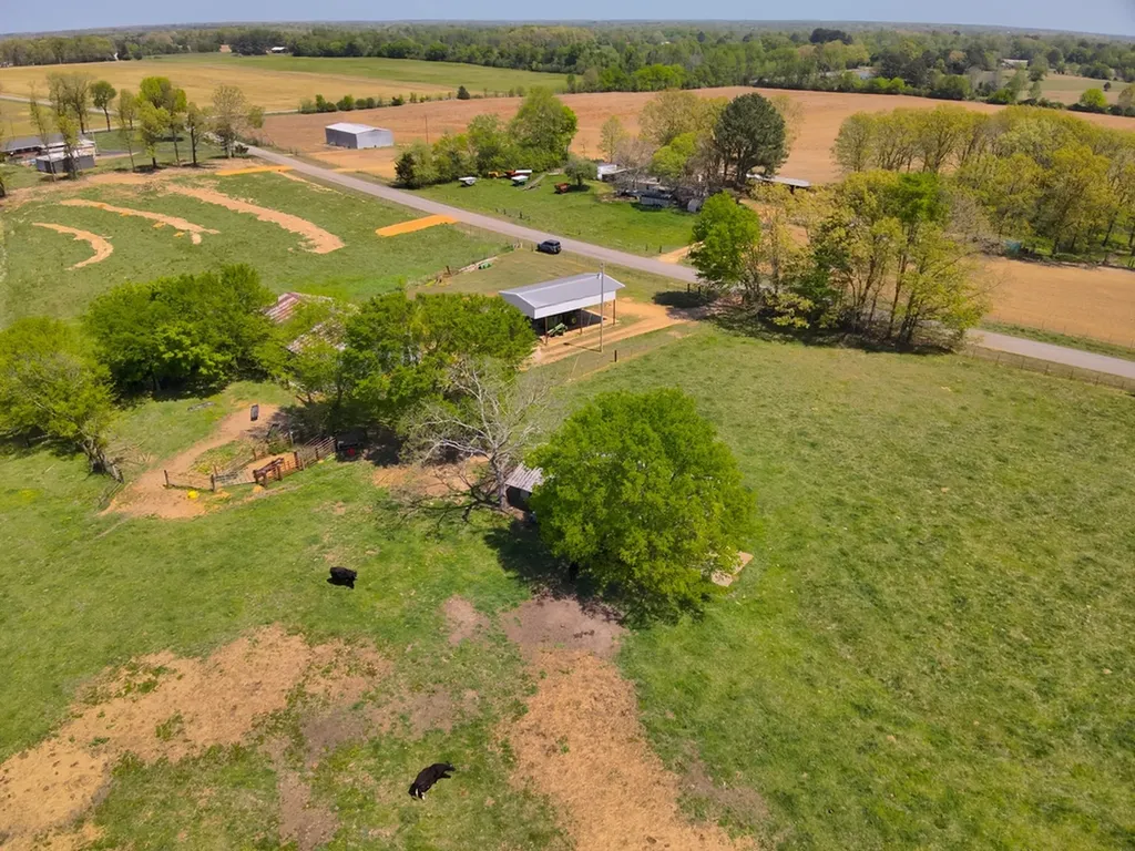 29200 Upper Elkton Road Elkmont AL 35620