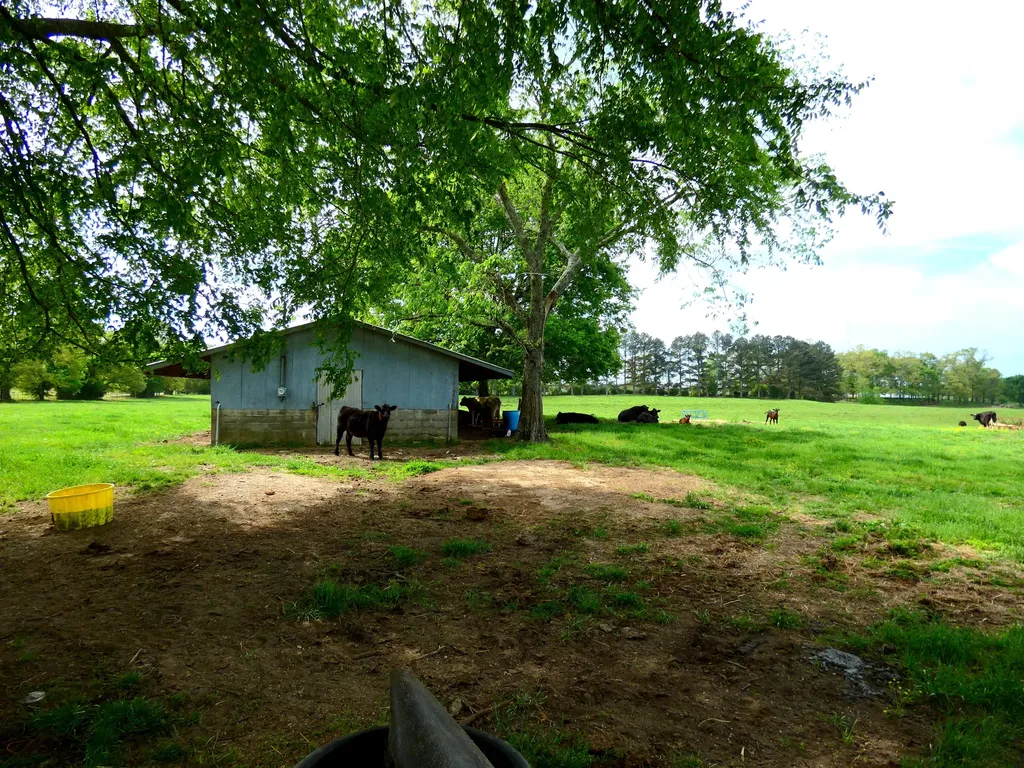 0 County Road 363 Killen AL 35645