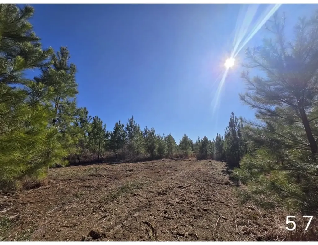 0 Chipola Road Slocomb AL 36375
