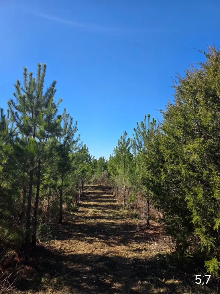 0 Chipola Road Slocomb AL 36375