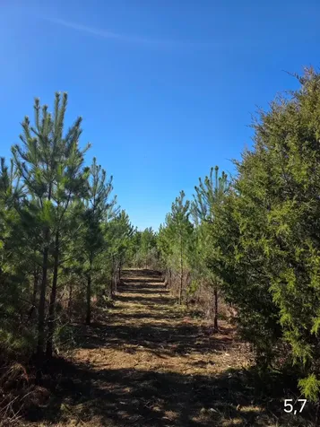 0 Chipola Road Slocomb AL 36375
