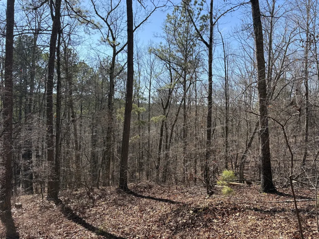 71 Orion Lane Roanoke AL 36274