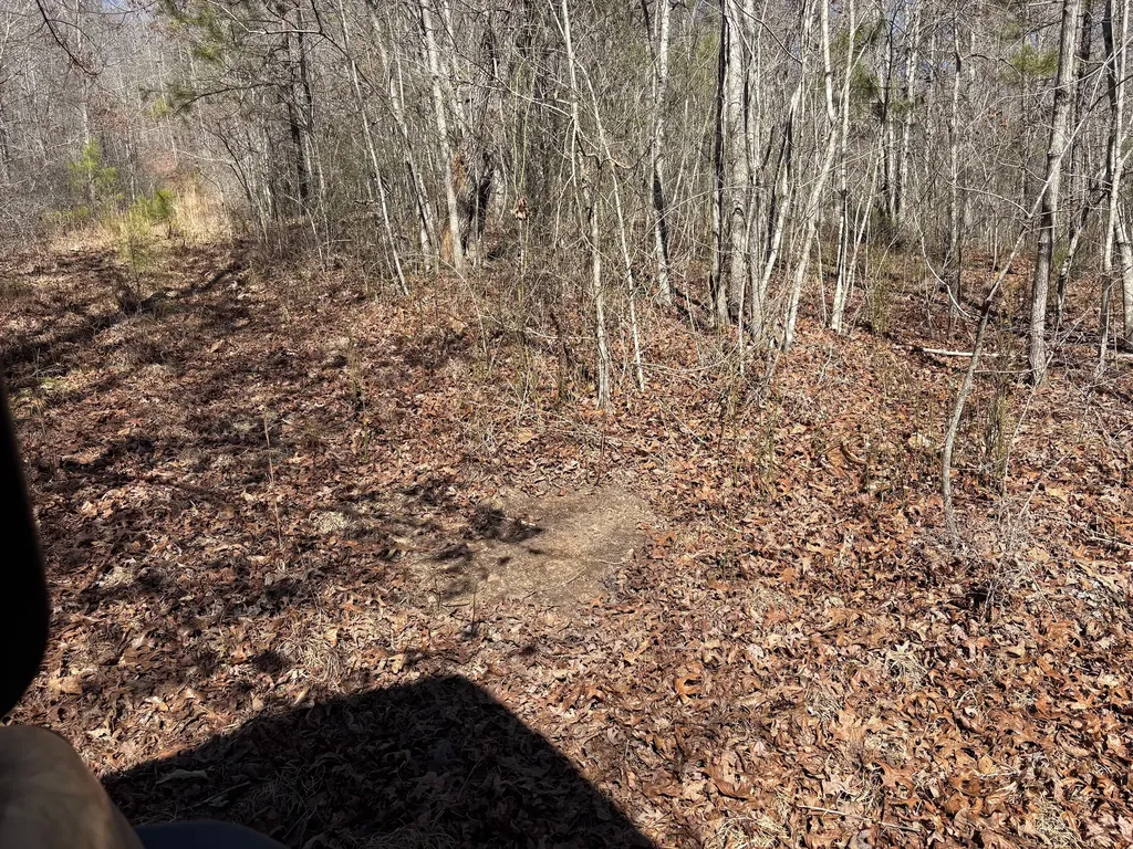 71 Orion Lane Roanoke AL 36274