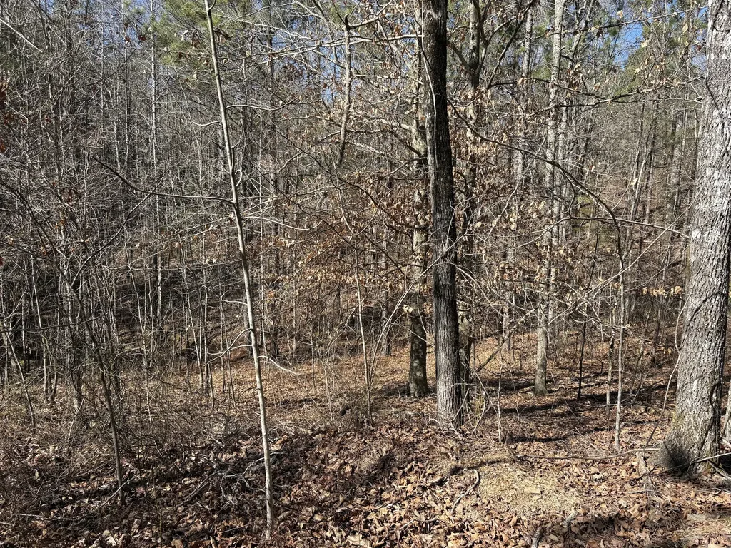 71 Orion Lane Roanoke AL 36274