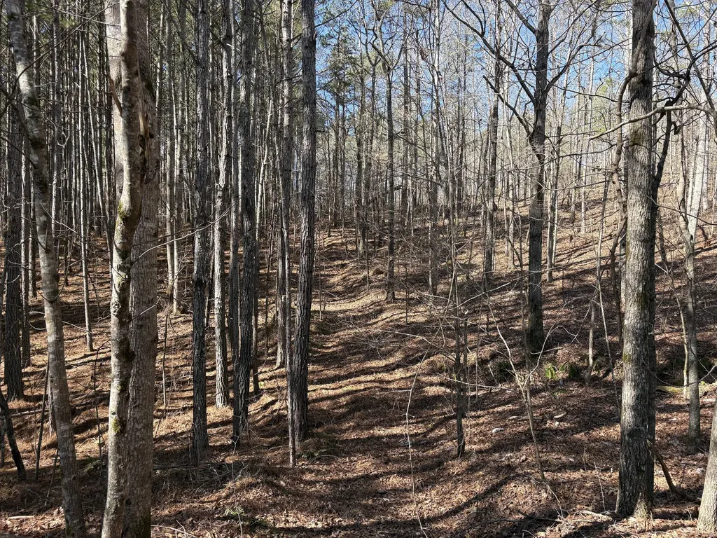 71 Orion Lane Roanoke AL 36274