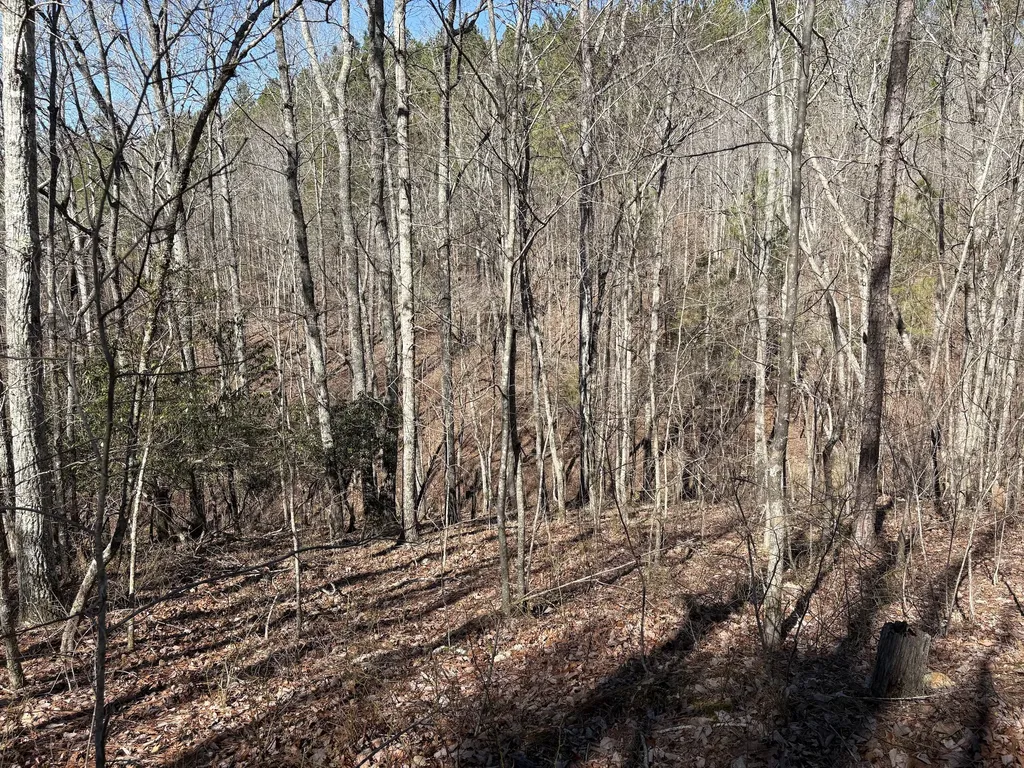 71 Orion Lane Roanoke AL 36274
