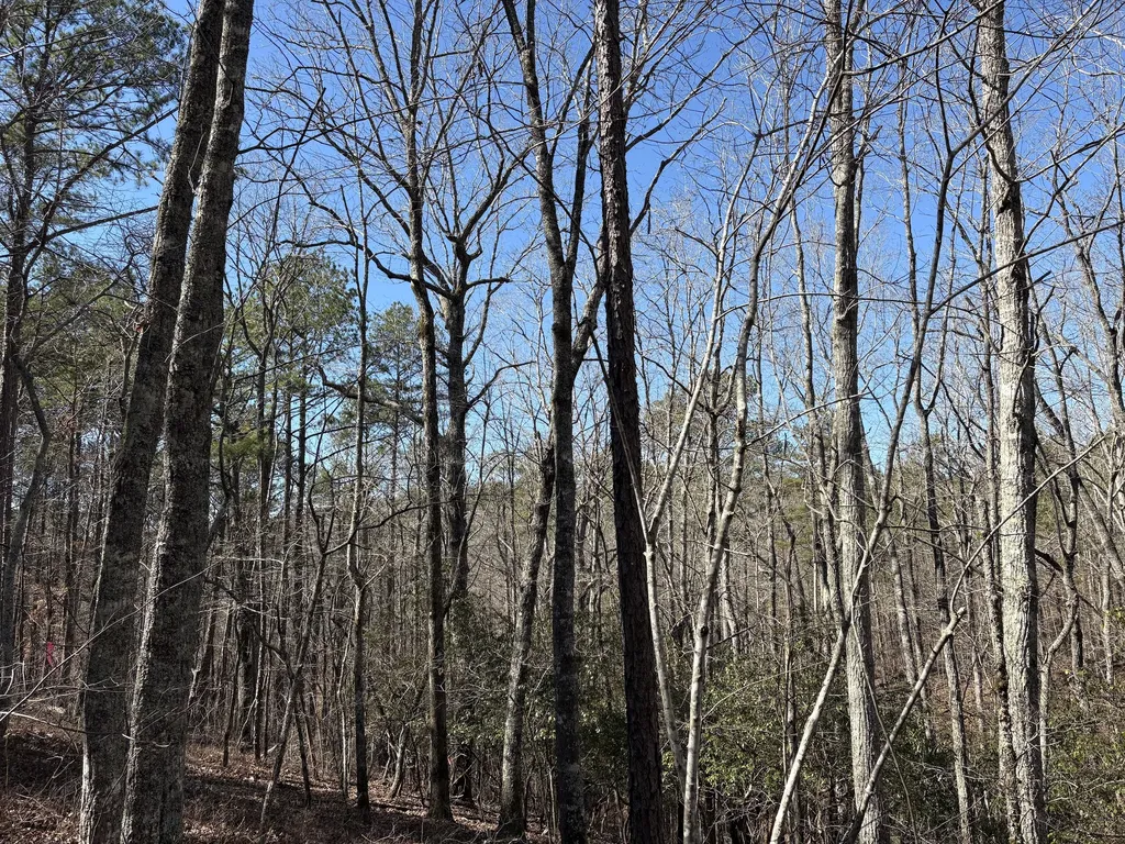 71 Orion Lane Roanoke AL 36274