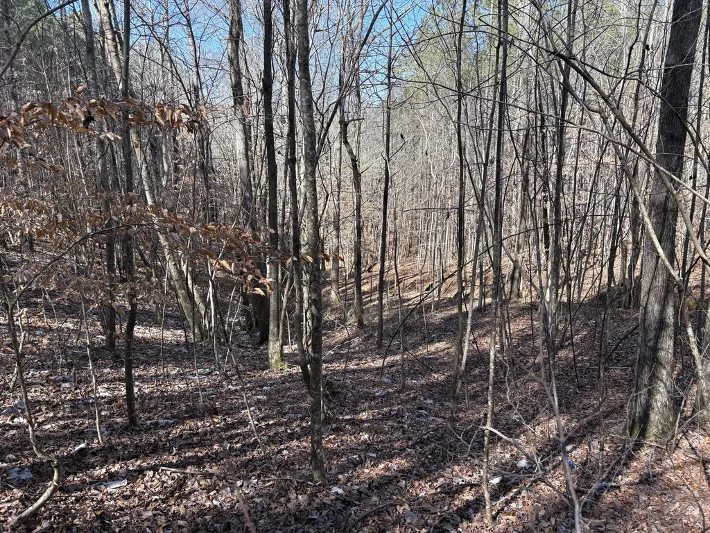 71 Orion Lane Roanoke AL 36274
